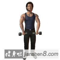 Upright dumbbell arm curl
